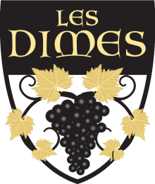 logo Dimes Transp